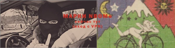 крисы Алексин