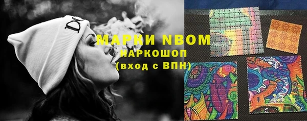 крисы Алексин