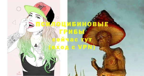 круглые Алексеевка