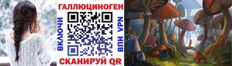 Галлюциногенные грибы Psilocybine cubensis blacksprut зеркало Йошкар-Ола